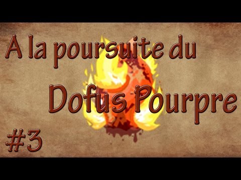 comment battre le mr dofus