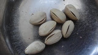 [閒聊] 原來開心果