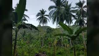preview picture of video 'Journey to Romblon's Paradise: Cresta de Gallo Island'