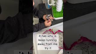 Smells like apple… huh? #shorts