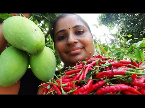 download lagu mp3 mp4 Mango Red Chilli Chutney, download lagu Mango Red Chilli Chutney gratis, unduh video klip Mango Red Chilli Chutney