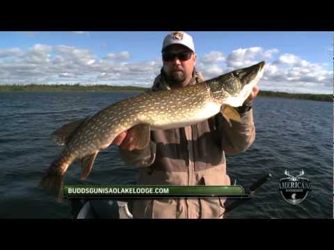 Big Pike Fishing at Lake Gunisao