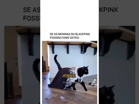 بلاك بينك على شكل قطط تخيلوا#لايك