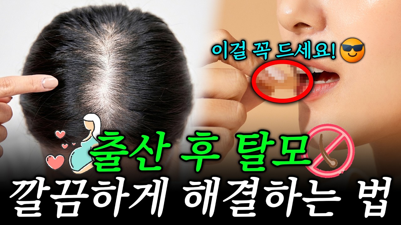 더원츠의원 유튜브