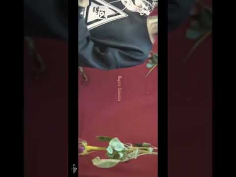 La loquera  Santa Fe klan