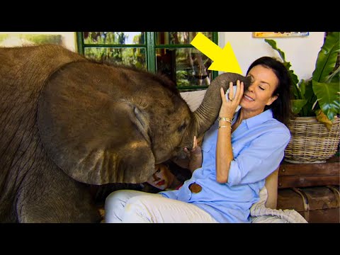 Woman Rescues Baby Elephant Who Was Washed Away In Flood, Now He Follows His Human Mom Everywhere