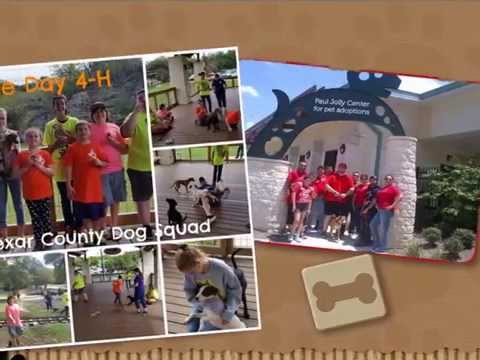 Paul Jolly Center for Pet Adoptions One Year Anniversary