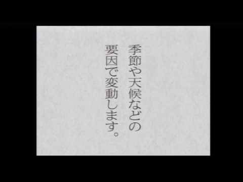Mono ya Okane no Shikumi DS Nintendo DS