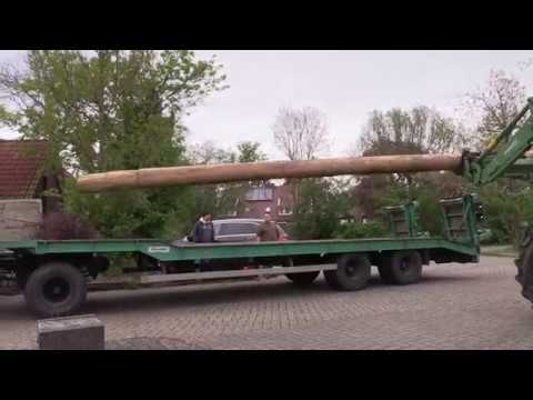 Auricher Maibaum 2019