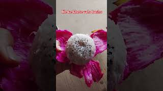 Download lagu https://youtube.com/shorts/ay99J4tUUu0?si=Jl3Zdh25gshorts mp3