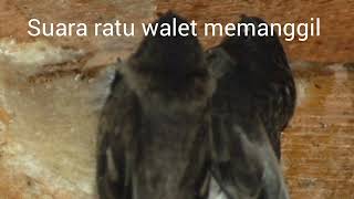 Download lagu sp ratu walet memanggil temannya mp3