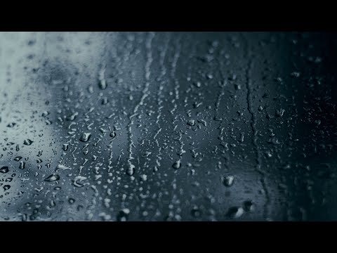 TWK: JARY, ŻARY, KOMEN - BEZ ŻYCIA