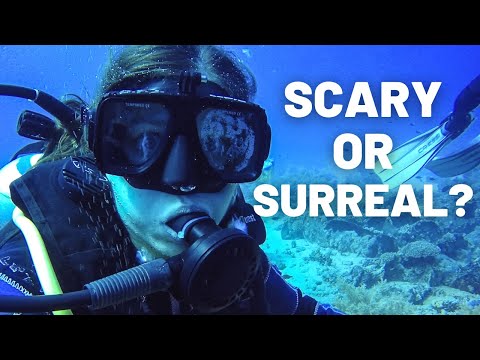 SCUBA DIVING IN THE RED SEA, EGYPT // EGYPT TRAVEL VLOG
