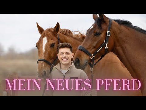 MY NEW HORSE - Stable Vlog and introduction of horse no. 2!🐴✨