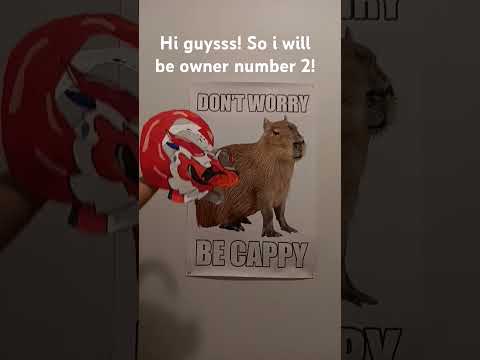 Dragon puppet starters