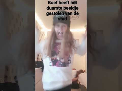 boef heeft het duurste beeldje van de stad gestolen😎👿