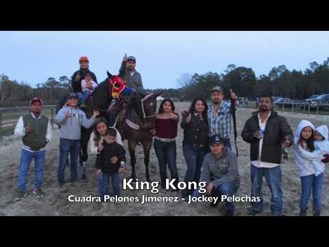 King Kong vs El Canelo