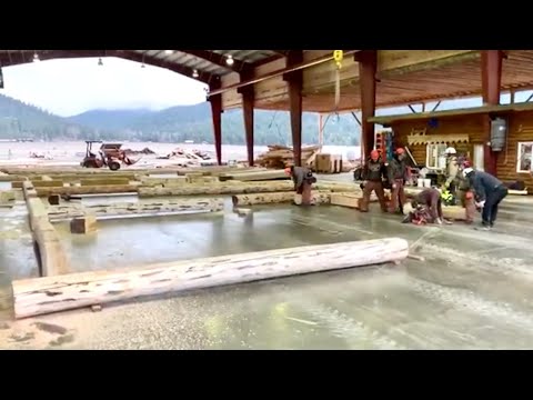 Building our Montana Homestead Part 4- Starting Meadowlark Log Pre-Assembly First Floor