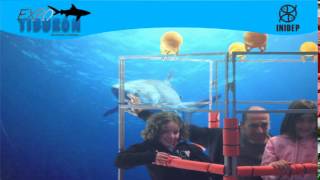 DIA 2 Expo Tiburon238