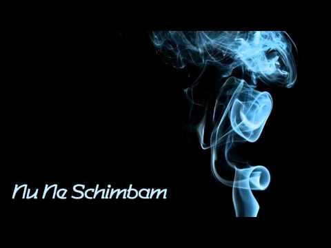 The Mosh - Nu Ne Schimbam