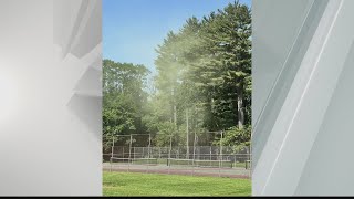 Allergy sufferers dealing with high pollen counts