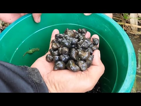 EP767-P1 - Pangunguha ng Ige | Occ. Mindoro