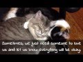 Everything Will Be Okay - Kitty Love 