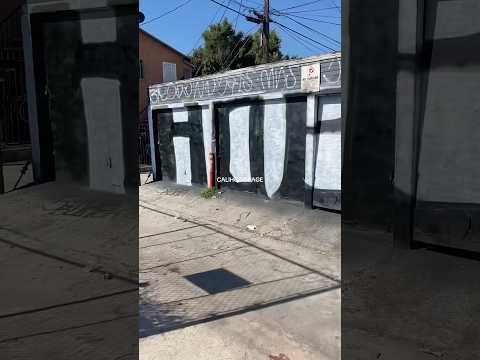 Hangout Boys 55 Bunch strikeup #graffiti