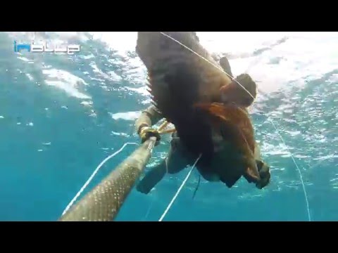 Spearfishing with Dimitris Tsentas-"Under the Surface" - VOL.3-"Winter fishing in bad conditions#1"