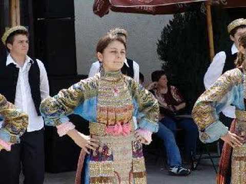 Bulgarii din Banat- Brestea, Dudestii Vechi,Vinga