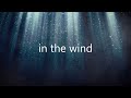 Voice In The Wind