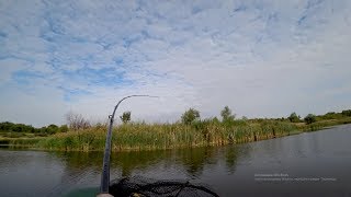 Воблеры осенние на щуку