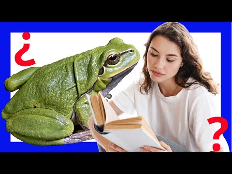 Significado de los Sapos en la Biblia