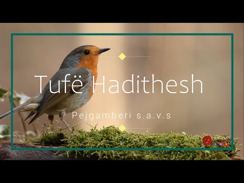 Tufë hadithesh - Dritë e pashuar (Pejgamberi s.a.v.s)