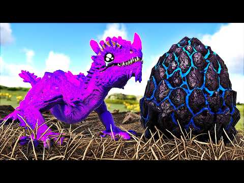 O BEBÊ DRAGÃO FOI EXPULSO PELOS PAIS POR NÃO TER PENAS E EVOLUIU PARA SE VINGAR! ARK 100 DIAS