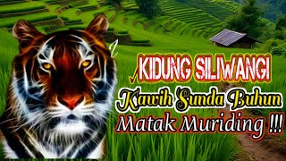 Download lagu KAWIH SUNDA BUHUN KEMBANG GADUNG.,KIDUNG SILIWANGI, MATAK MURIDING‼️ mp3 Download lagu KAWIH SUNDA BUHUN KEMBANG GADUNG.,KIDUNG SILIWANGI, MATAK MURIDING‼️ mp3