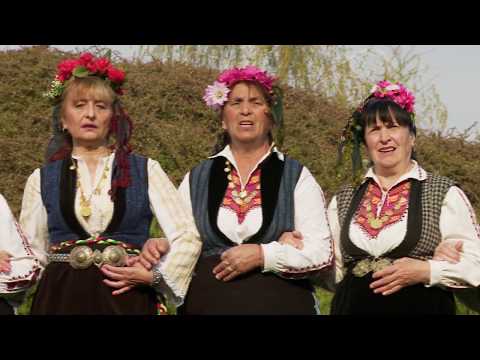 GIF s Novo Jelezare - Shetba sheta Krali Marko | ГИФ - Шетба шета Крали Марко