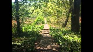 Roads Go Ever, Ever On