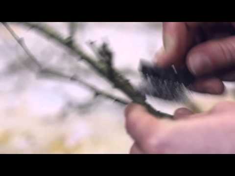 Honda Endless Road – Behind The Scenes