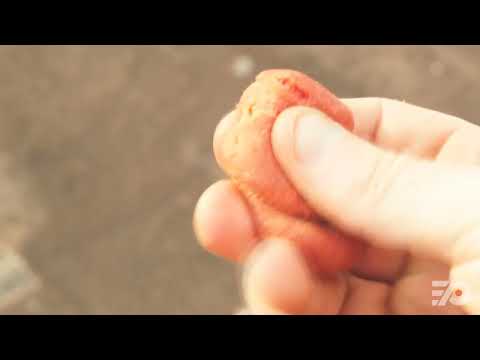 Semtex 1A   Brisance test