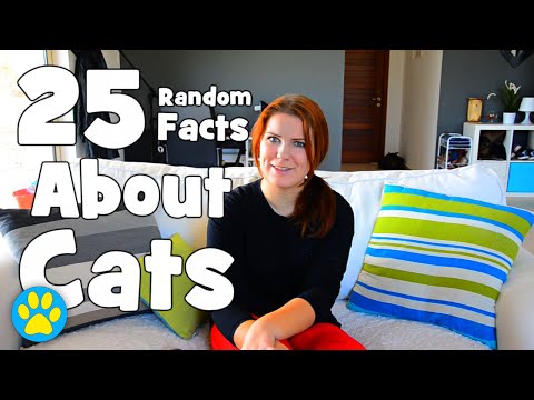 25 Random Facts About Cats