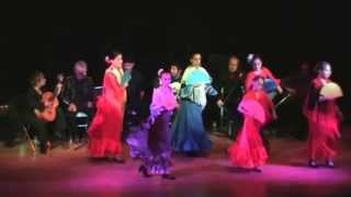 Flamenco La Conciencia, 