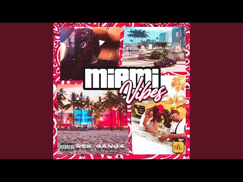Miami Vibes