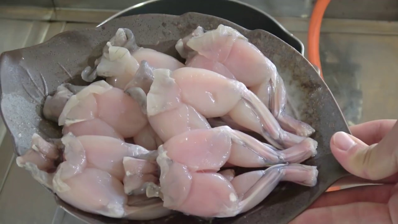 朝ごはん作ってみた『食用ガエルの煮込み』