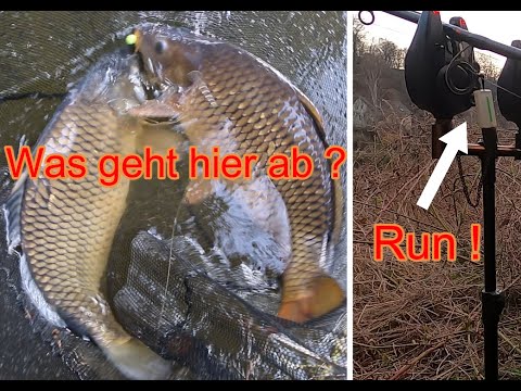 Karpfenangeln am Fluss Teil 2! Mit einem fetten Überraschungsfisch! Der blanke Wahnsinn!!