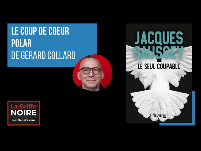Vídeo relacionado con Le seul coupable (Fleuve noir) (French Edition)