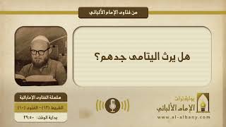 هل يرث اليتامى جدهم؟