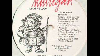 Dark Horse on the Wind (Liam Weldon)
