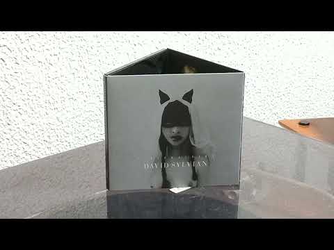 Transit / Fennesz & David Sylvian