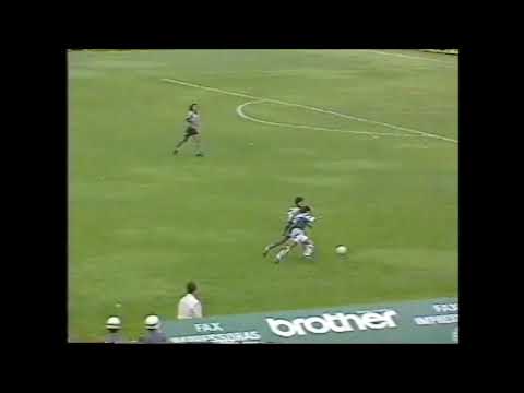 Guarani 2 x 0 Botafogo - Campeonato Brasileiro 1996